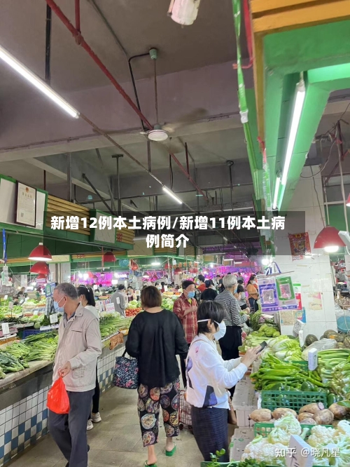 新增12例本土病例/新增11例本土病例简介