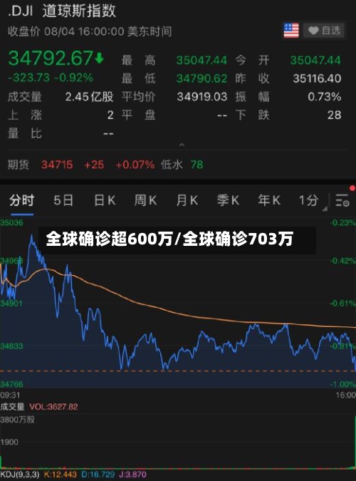 全球确诊超600万/全球确诊703万