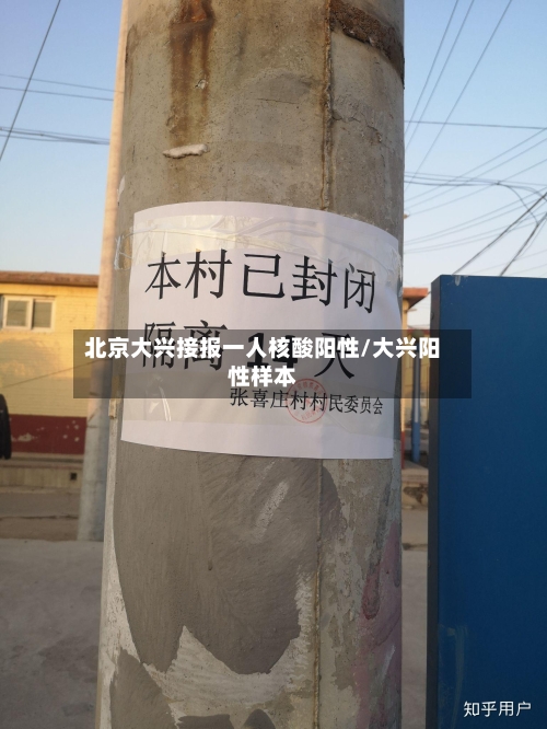 北京大兴接报一人核酸阳性/大兴阳性样本-第2张图片