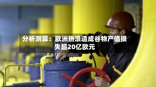 分析测算：欧洲热浪造成谷物产值损失超20亿欧元