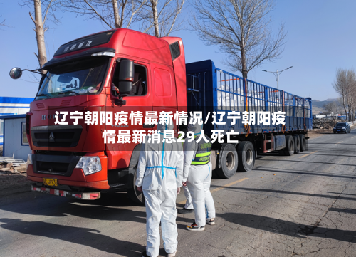 辽宁朝阳疫情最新情况/辽宁朝阳疫情最新消息29人死亡