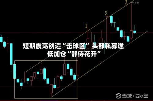 短期震荡创造“击球区” 头部私募逢低加仓“静待花开”