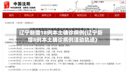 辽宁新增18例本土确诊病例(辽宁新增8例本土确诊病例活动轨迹)-第2张图片