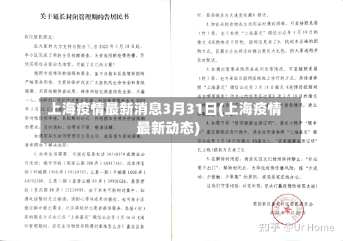 上海疫情最新消息3月31日(上海疫情最新动态)
