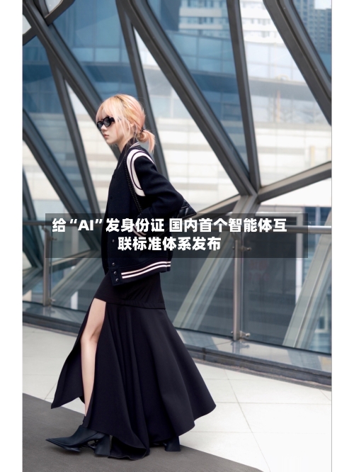 给“AI”发身份证 国内首个智能体互联标准体系发布-第2张图片
