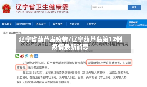辽宁省葫芦岛疫情/辽宁葫芦岛第12例疫情最新消息-第2张图片