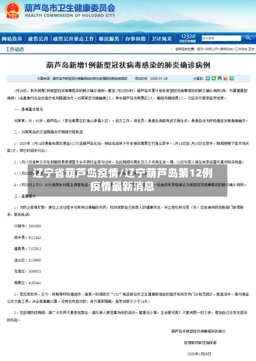 辽宁省葫芦岛疫情/辽宁葫芦岛第12例疫情最新消息-第3张图片