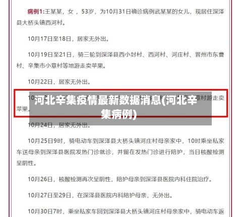 河北辛集疫情最新数据消息(河北辛集病例)-第2张图片