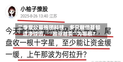 二季度公募抱团科技	，多只翻倍基却遭净赎回，“越涨越卖”为哪般？-第2张图片