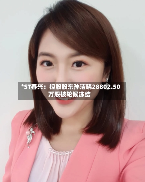 *ST春兴：控股股东孙洁晓28802.50万股被轮候冻结