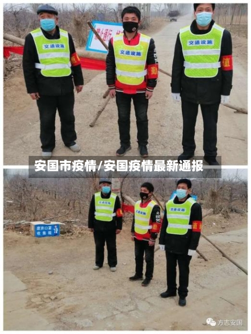 安国市疫情/安国疫情最新通报-第3张图片