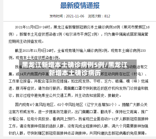 黑龙江新增本土确诊病例5例/黑龙江新增本土确诊病历