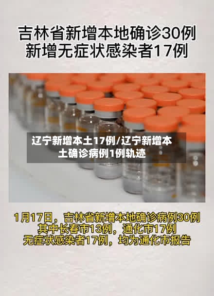 辽宁新增本土17例/辽宁新增本土确诊病例1例轨迹-第3张图片