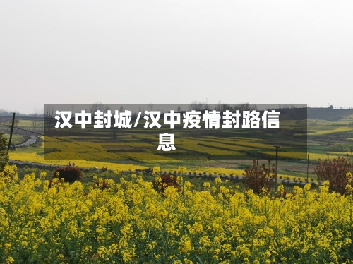 汉中封城/汉中疫情封路信息