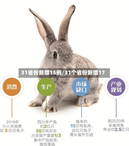 31省份新增15例/31个省份新增17