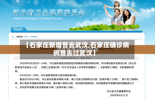 【石家庄新增曾去武汉,石家庄确诊病例曾去过武汉】-第2张图片
