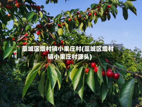 藁城区增村镇小果庄村(藁城区增村镇小果庄村源头)-第3张图片
