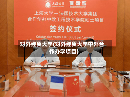 对外经贸大学(对外经贸大学中外合作办学项目)