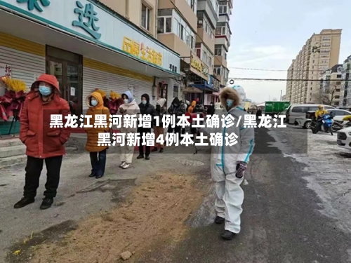 黑龙江黑河新增1例本土确诊/黑龙江黑河新增4例本土确诊-第2张图片