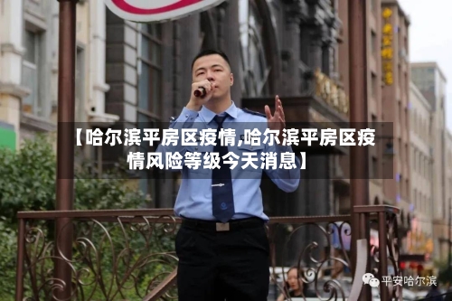【哈尔滨平房区疫情,哈尔滨平房区疫情风险等级今天消息】-第3张图片