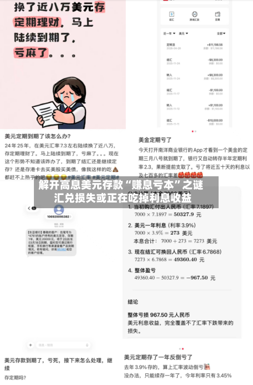 解开高息美元存款“赚息亏本	”之谜 汇兑损失或正在吃掉利息收益-第2张图片
