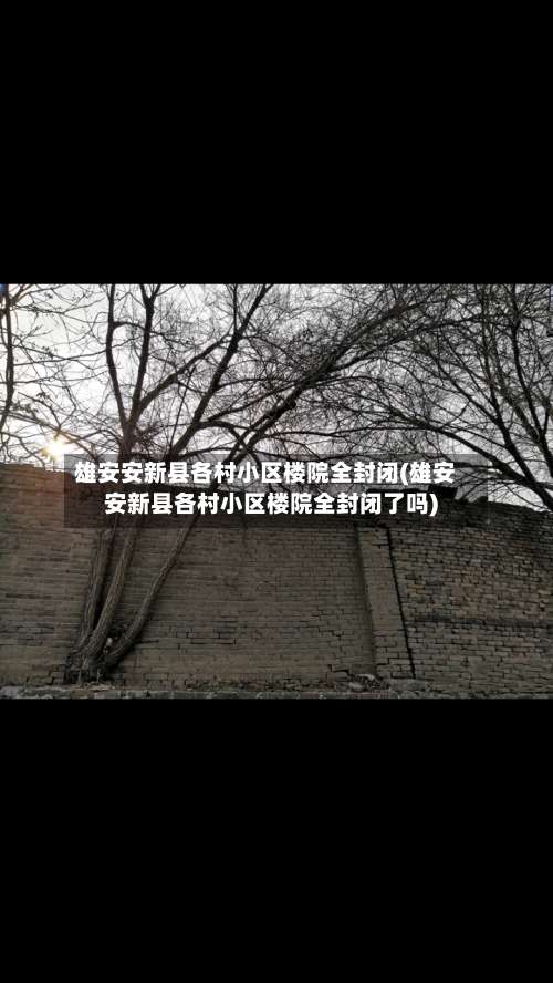 雄安安新县各村小区楼院全封闭(雄安安新县各村小区楼院全封闭了吗)