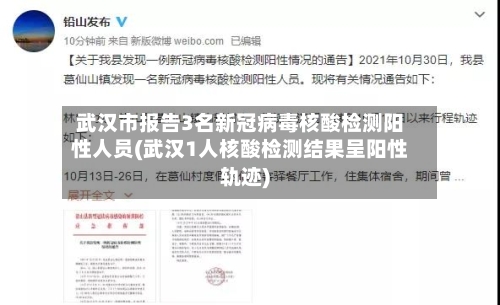 武汉市报告3名新冠病毒核酸检测阳性人员(武汉1人核酸检测结果呈阳性轨迹)-第2张图片
