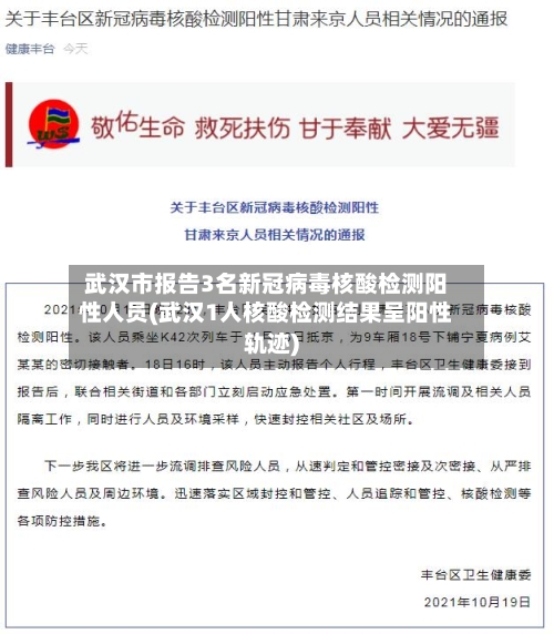 武汉市报告3名新冠病毒核酸检测阳性人员(武汉1人核酸检测结果呈阳性轨迹)