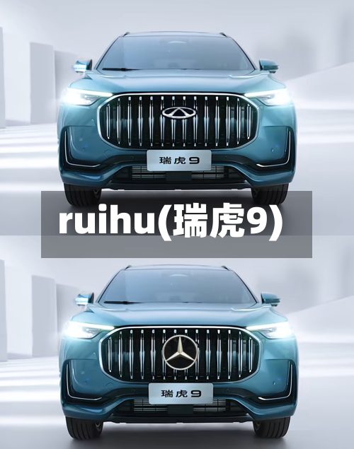 ruihu(瑞虎9)