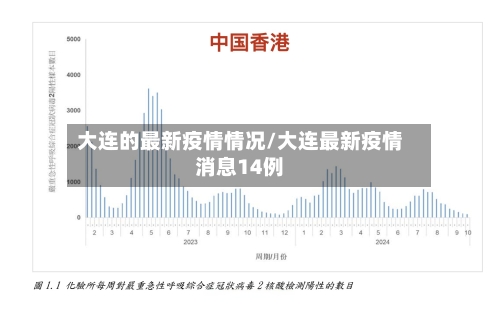 大连的最新疫情情况/大连最新疫情消息14例