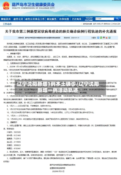 辽宁沈阳新增1例本土确诊/辽宁沈阳新增一例活动轨迹-第2张图片