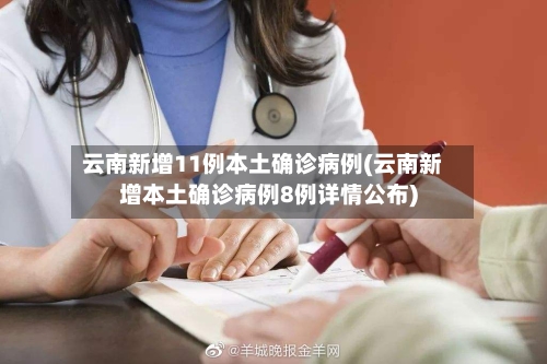 云南新增11例本土确诊病例(云南新增本土确诊病例8例详情公布)