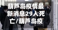 葫芦岛疫情最新消息29人死亡/葫芦岛疫情最新消息2月11日新增-第2张图片