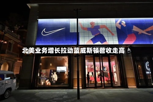 北美业务增长拉动蓝威斯顿营收走高-第2张图片