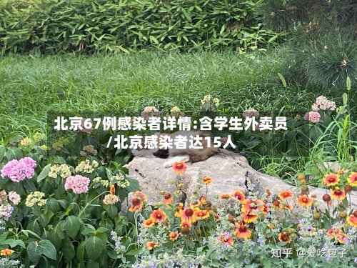 北京67例感染者详情:含学生外卖员/北京感染者达15人-第2张图片