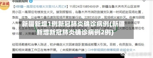 新疆新增1例新冠肺炎确诊病例(新疆新增新冠肺炎确诊病例2例)