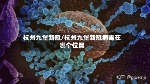 杭州九堡新冠/杭州九堡新冠病毒在哪个位置