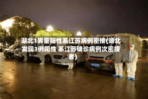 湖北1男童阳性系江苏病例密接(湖北发现1例阳性 系江苏确诊病例次密接者)-第2张图片