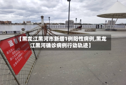 【黑龙江黑河市新增1例阳性病例,黑龙江黑河确诊病例行动轨迹】-第2张图片