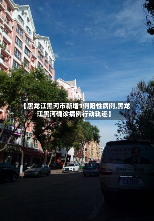 【黑龙江黑河市新增1例阳性病例,黑龙江黑河确诊病例行动轨迹】-第3张图片