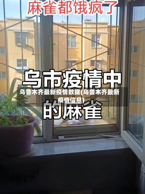 乌鲁木齐最新疫情数据(乌鲁木齐最新疫情信息)