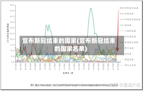 宣布新冠结束的国家(宣布新冠结束的国家名单)