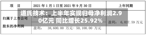 道氏技术:上半年实现归母净利润2.90亿元 同比增长25.92%-第2张图片