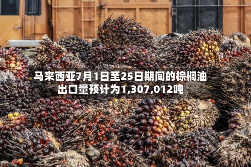 马来西亚7月1日至25日期间的棕榈油出口量预计为1,307,012吨