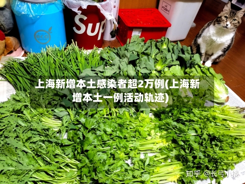上海新增本土感染者超2万例(上海新增本土一例活动轨迹)-第3张图片