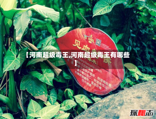 【河南超级毒王,河南超级毒王有哪些】-第2张图片