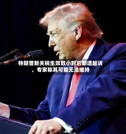 特朗普新关税生效数小时后即遭起诉，专家称其可能无法维持-第3张图片