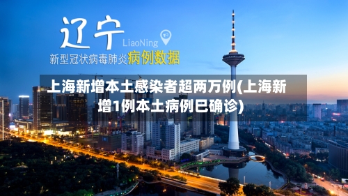 上海新增本土感染者超两万例(上海新增1例本土病例巳确诊)-第2张图片