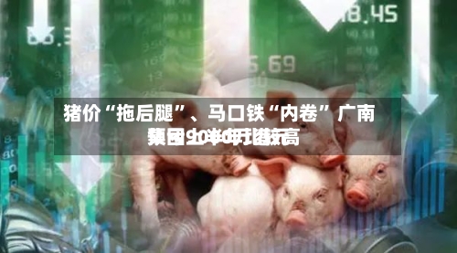 猪价“拖后腿”、马口铁“内卷	” 广南集团上半年比较高预亏9000万港元-第2张图片