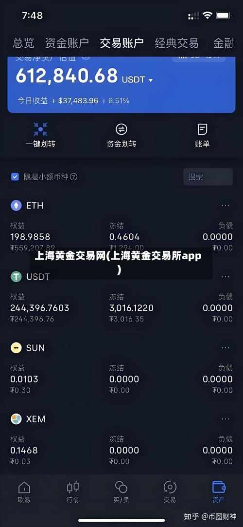 上海黄金交易网(上海黄金交易所app)